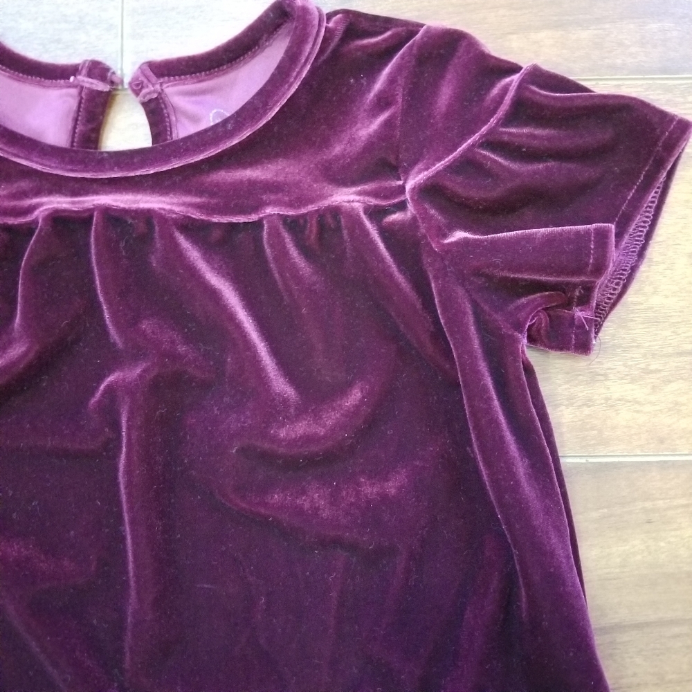 AG Adriano Goldshmied Little Girls Velvet Top 2T